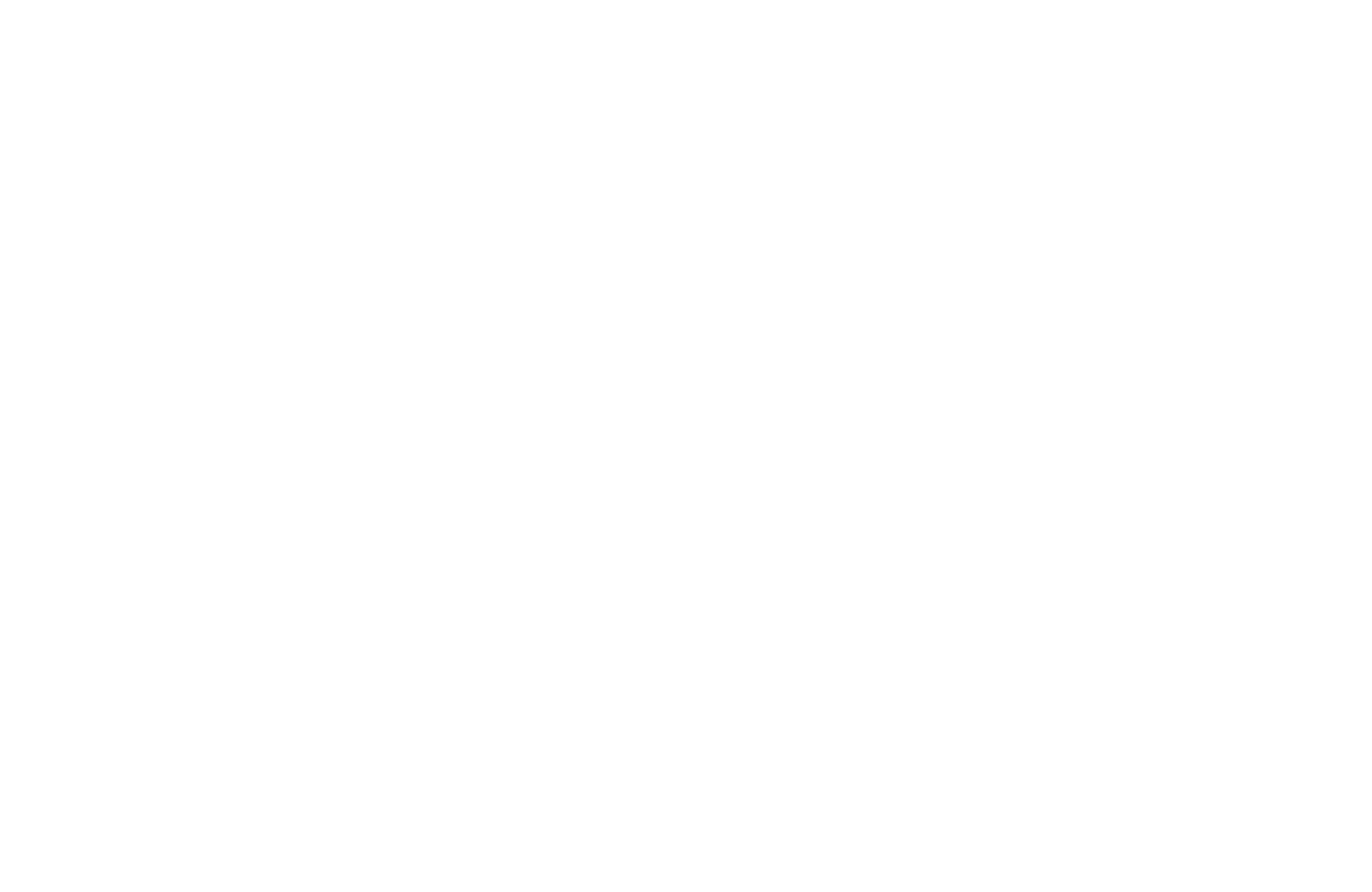 System  1